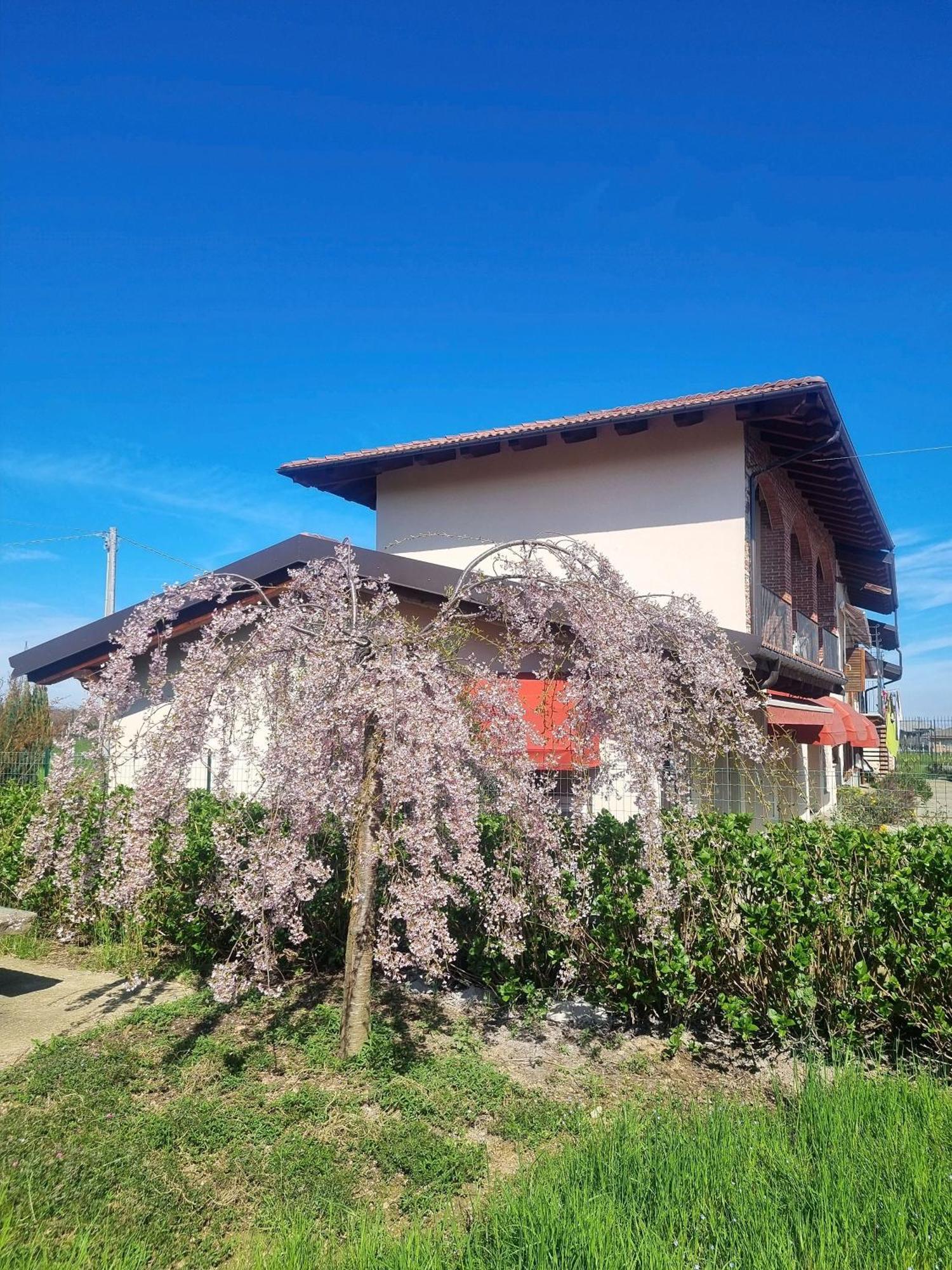 Cascina La Demilana Bed & Breakfast Bibiana Eksteriør bilde