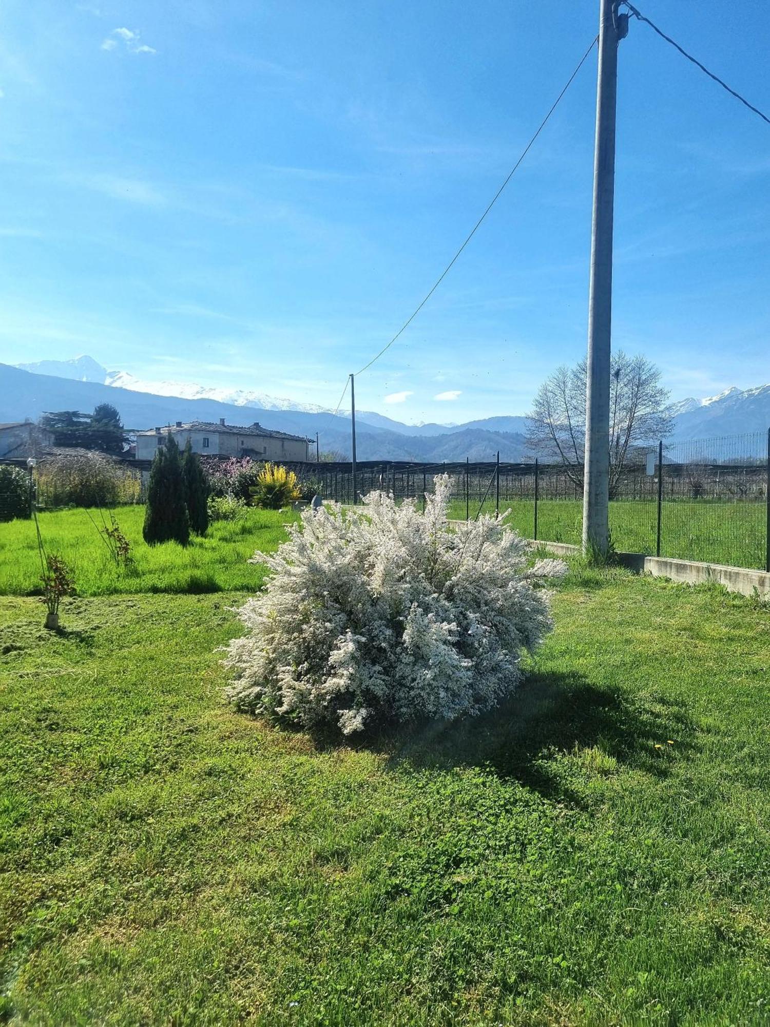 Cascina La Demilana Bed & Breakfast Bibiana Eksteriør bilde