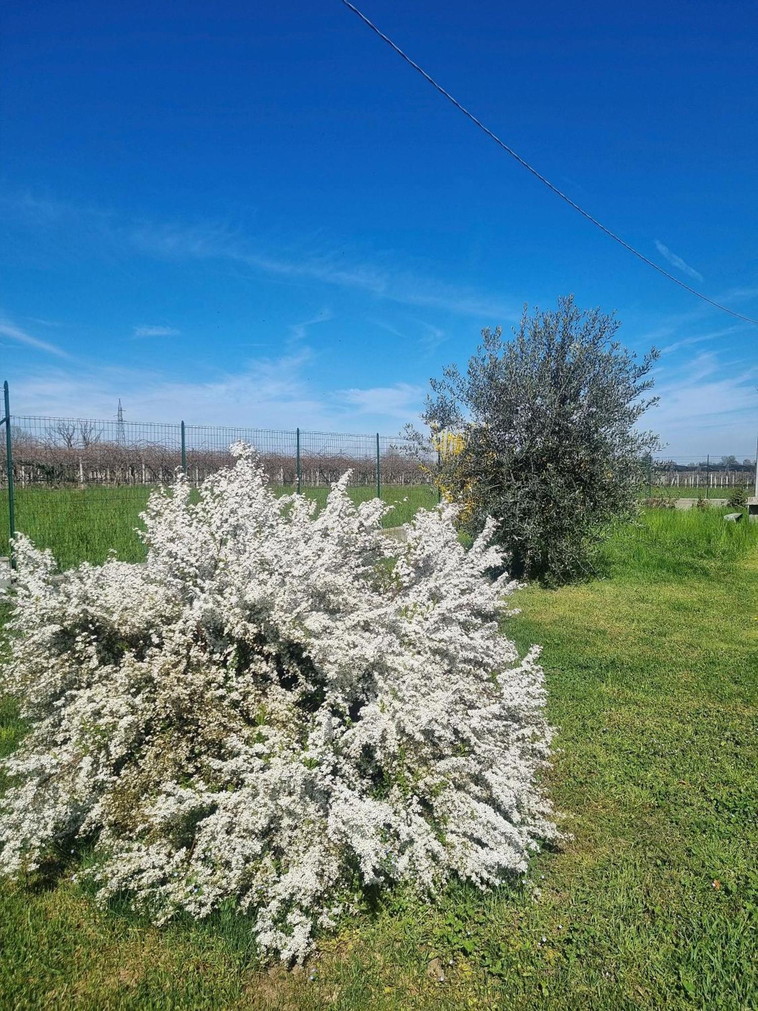 Cascina La Demilana Bed & Breakfast Bibiana Eksteriør bilde